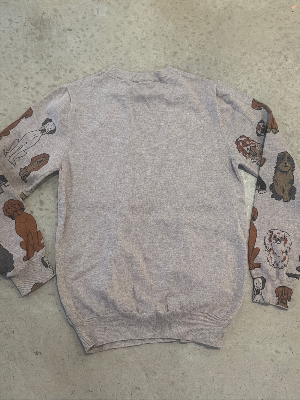 Cozy Dog Print Crewneck Sweater - Beige with Multicolor Dogs - Picture 4 of 4